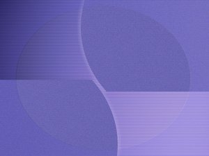品牌价值各有千秋：主流方案横向测评